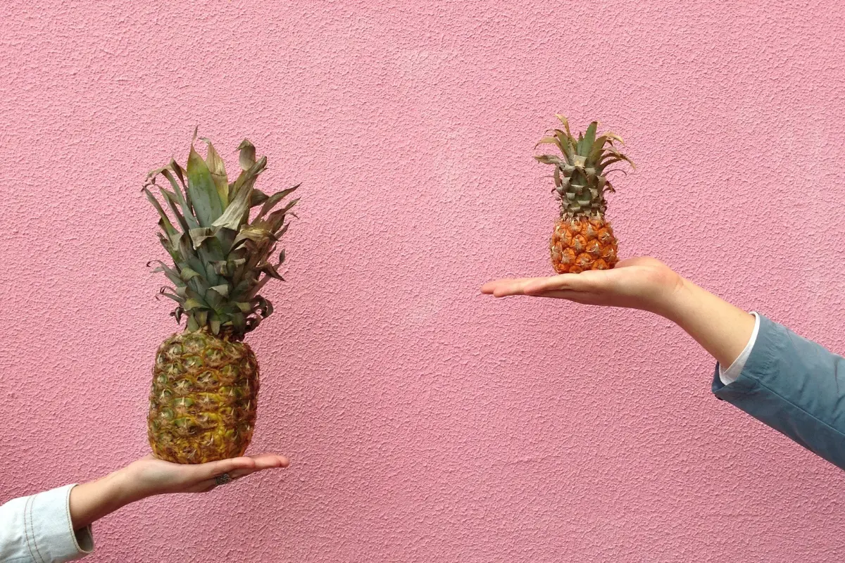 two hands holding two pineapples